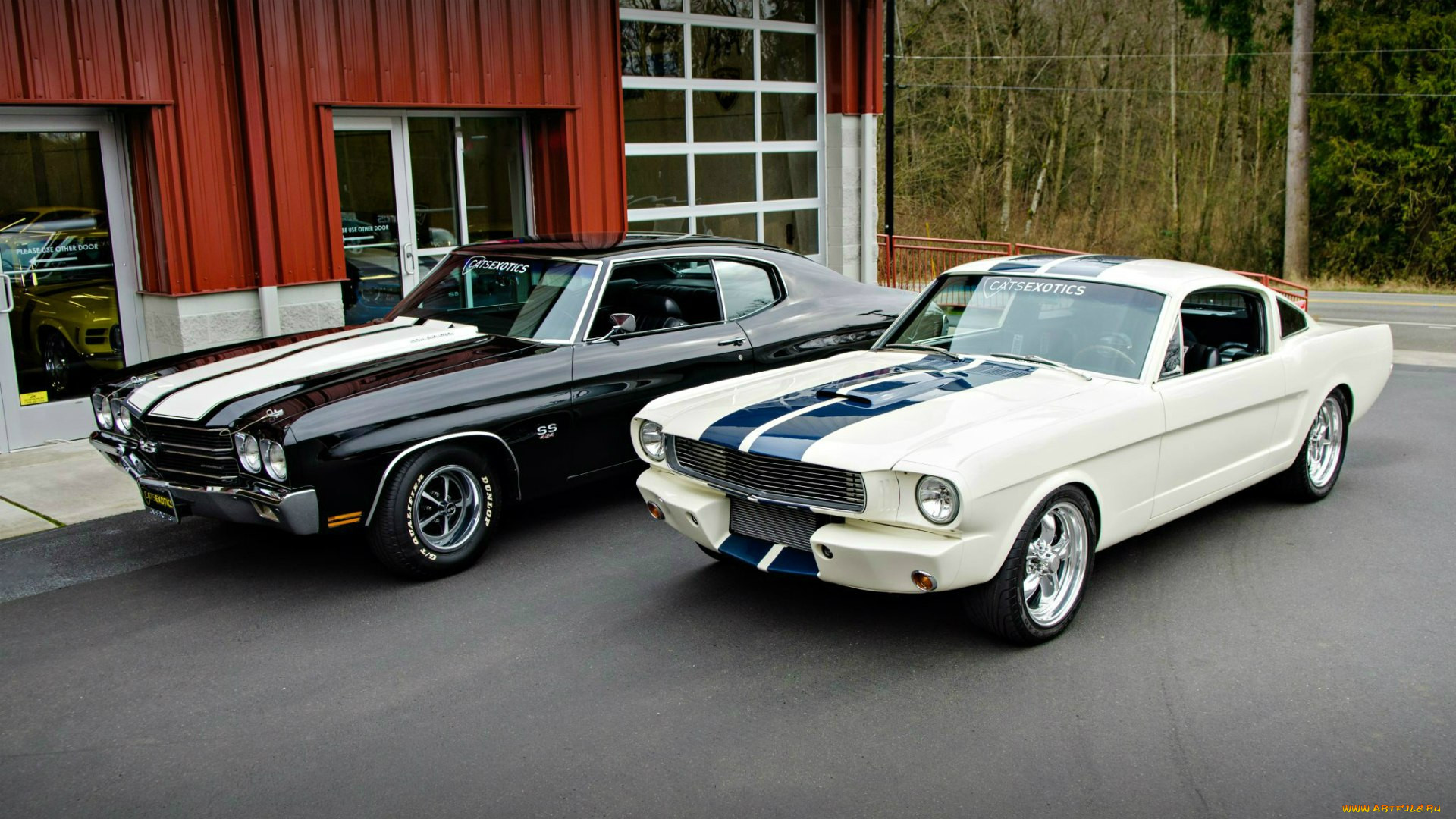 Ford Mustang Shelby gt350 Cabrio